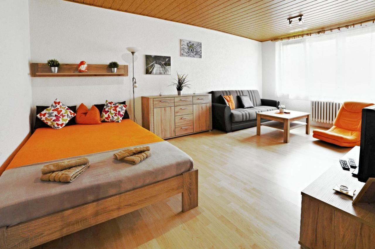 apartmány 2+1 u Klínovce Kovářská Exteriér fotografie