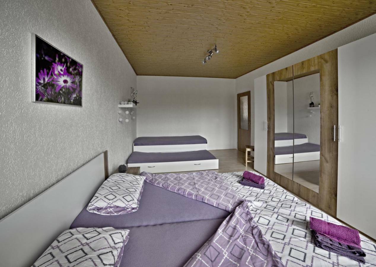 apartmány 2+1 u Klínovce Kovářská Exteriér fotografie